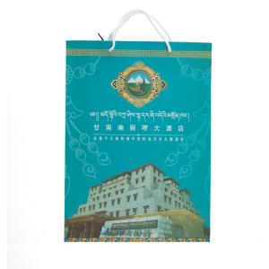 无纺布/塑料礼品袋